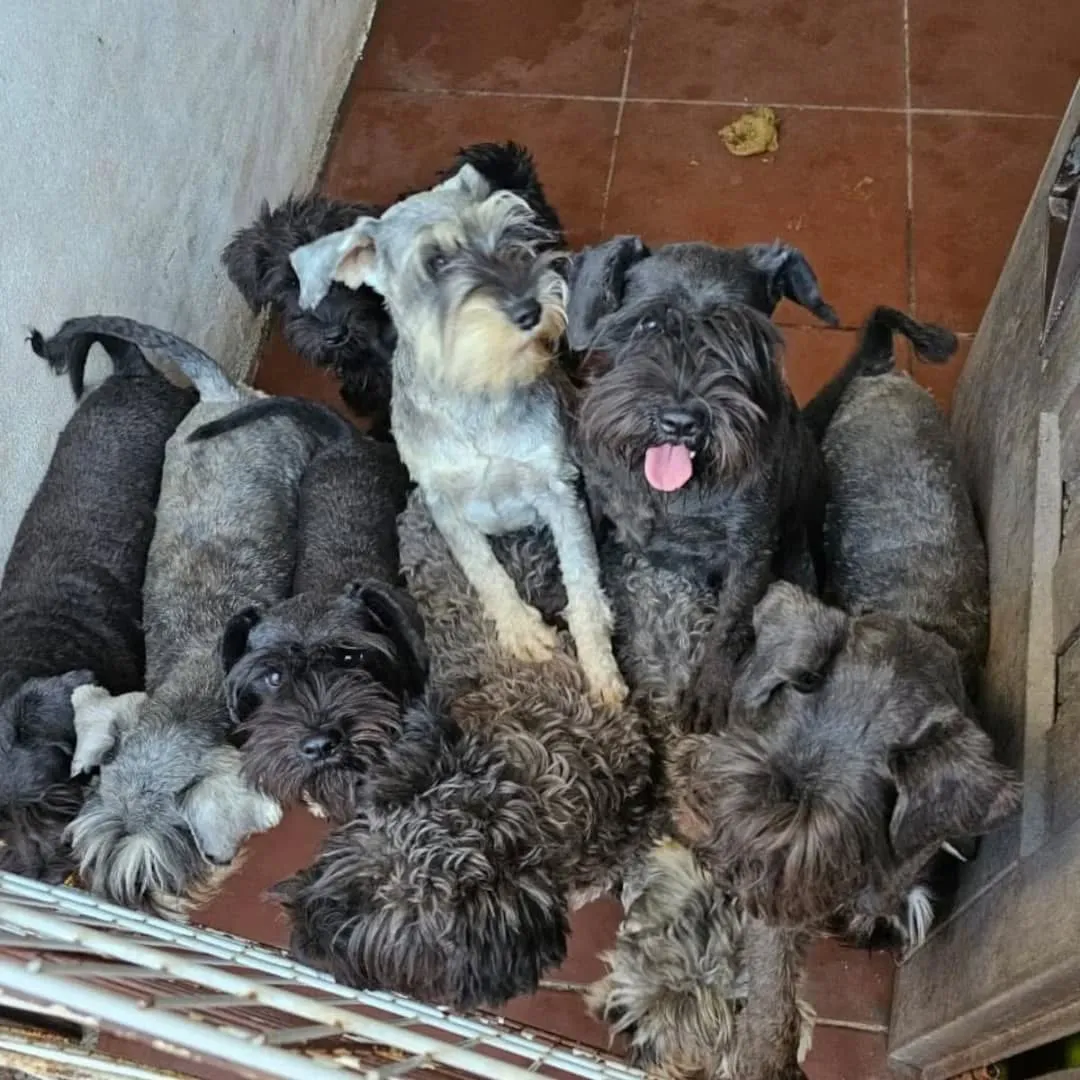 490068383_18045625847377787_6514462781823351028_n