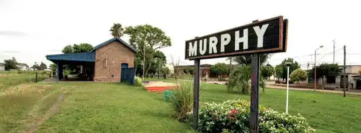 murphy