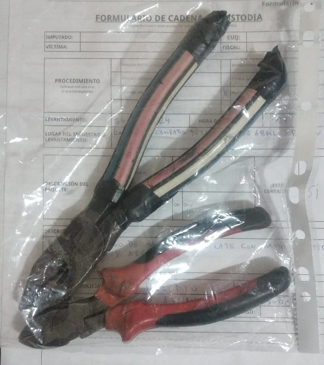 WhatsApp Image 2024-12-07 at 18.55.33