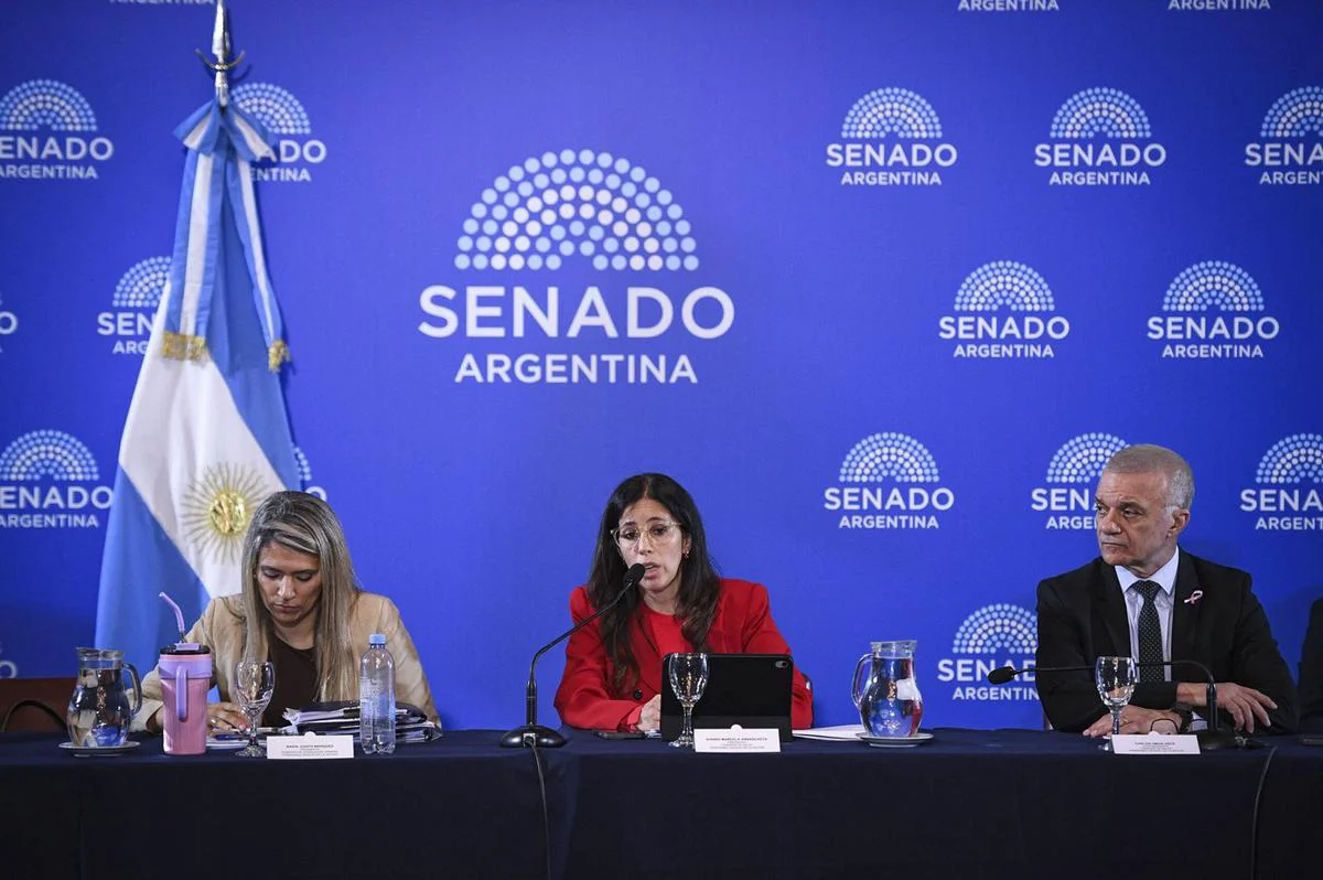 Salud Mental: impulsan cambios en internaciones y atención de adicciones