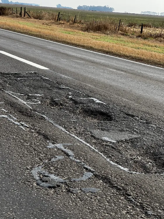 WhatsApp Image 2024-08-23 at 08.46.12