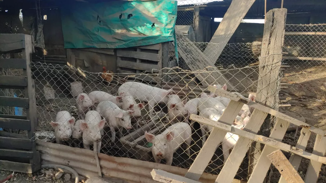 2023-01-23NID_277143O_1