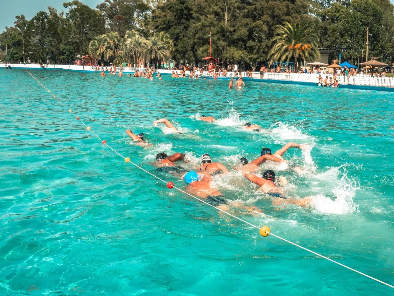 83156034_815168725563674_8855197909709225984_n