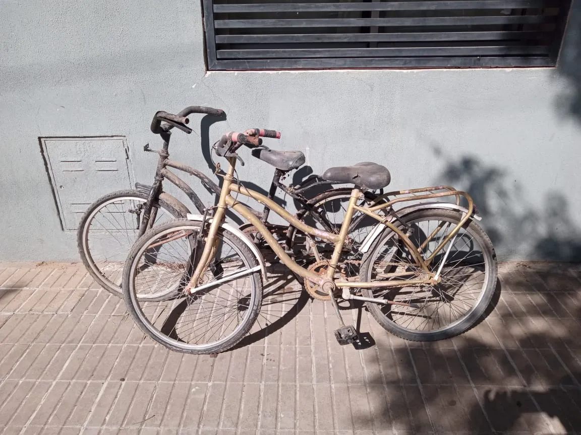 WhatsApp Image 2024-12-11 at 13.28.38