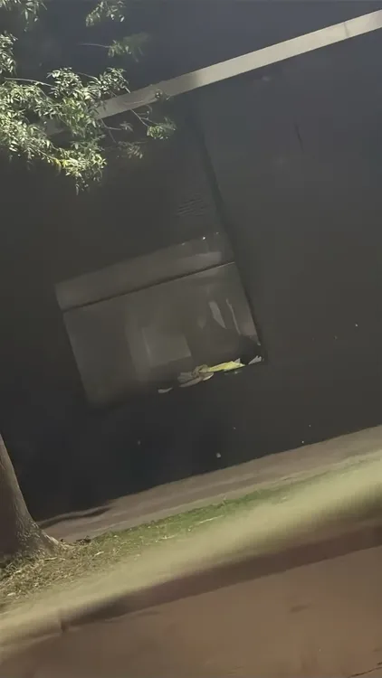 WhatsApp Image 2025-12-17 at 11.47.11 PM