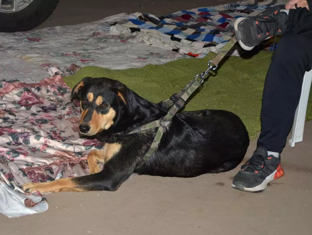 WhatsApp Image 2023-02-03 at 11.30.37