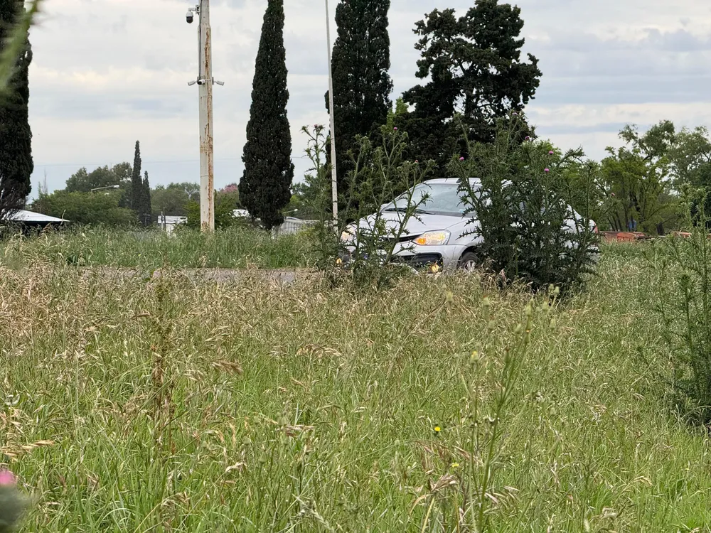 Di Gregorio reclamó desmalezar la rotonda de las rutas 8 y 33