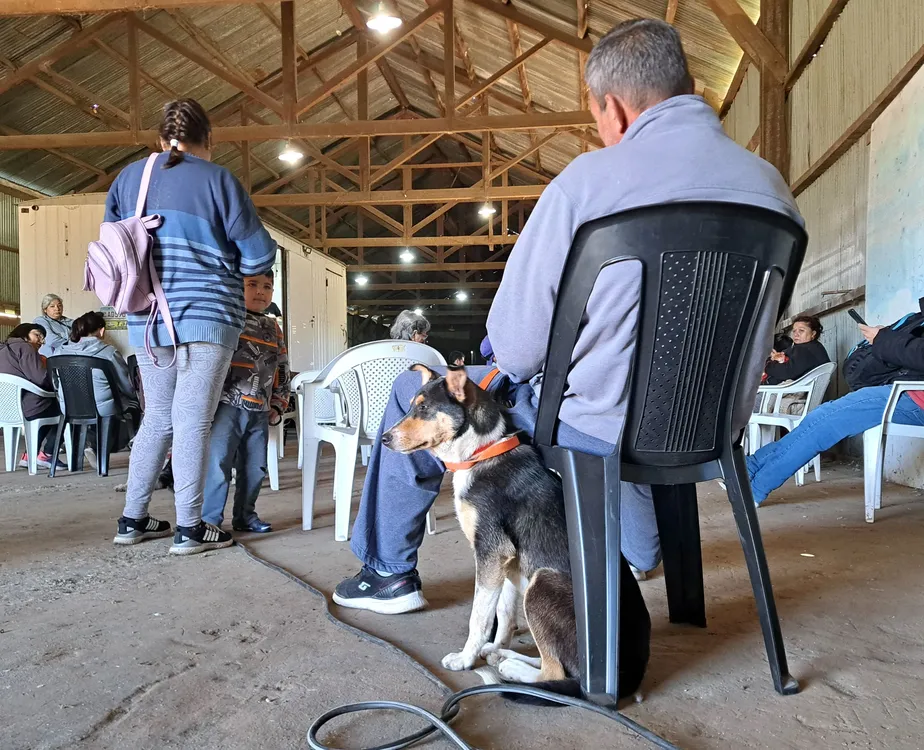 WhatsApp Image 2025-11-11 at 1.37.49 PM (1)