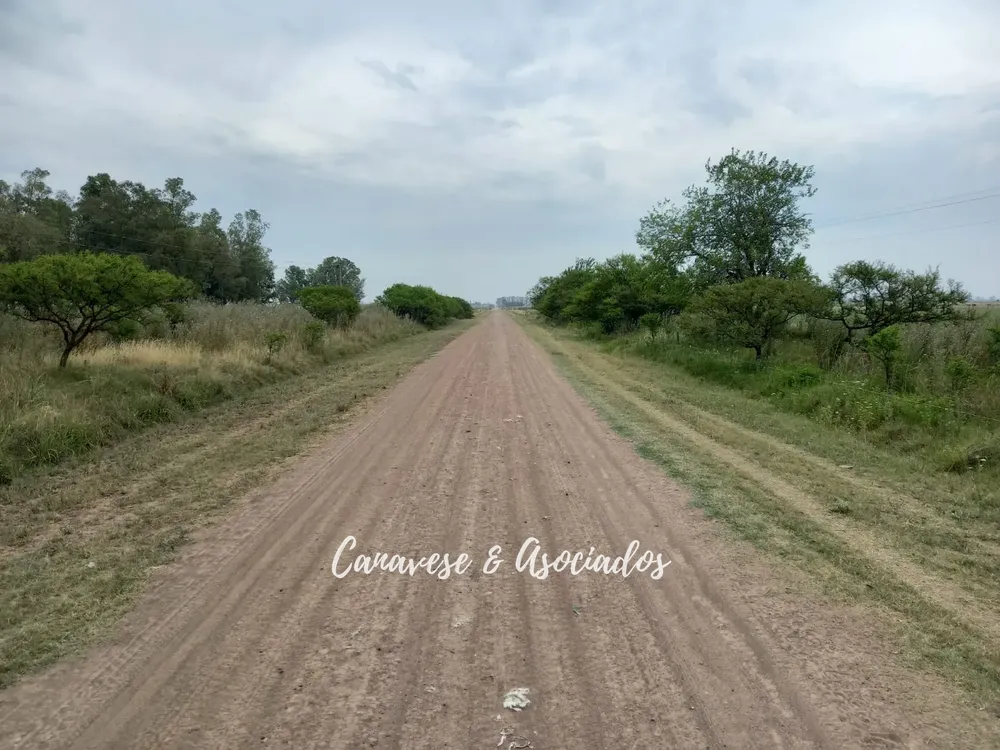 WhatsApp-Image-2022-02-01-at-10.20.08