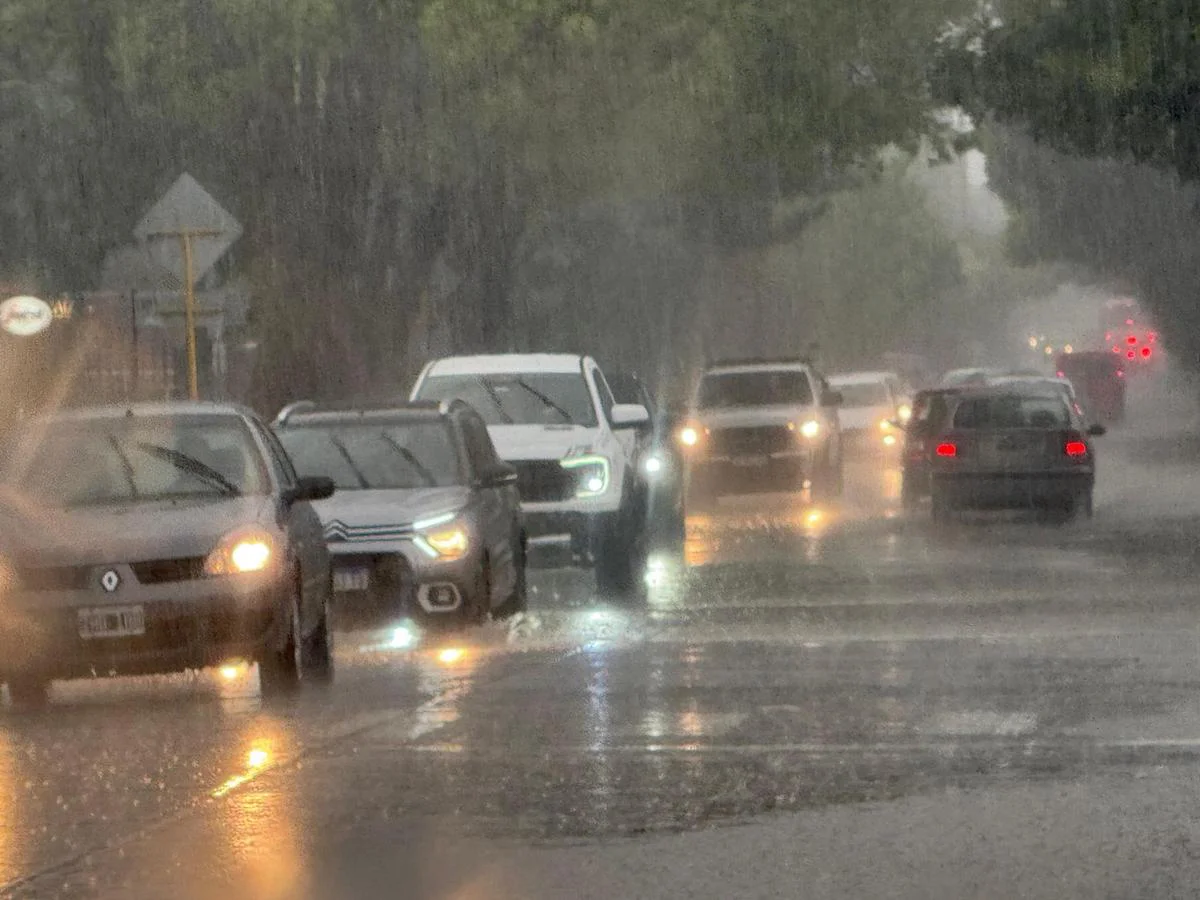 f5ba9574-4260-48b1-9e9a-05693c7968d7