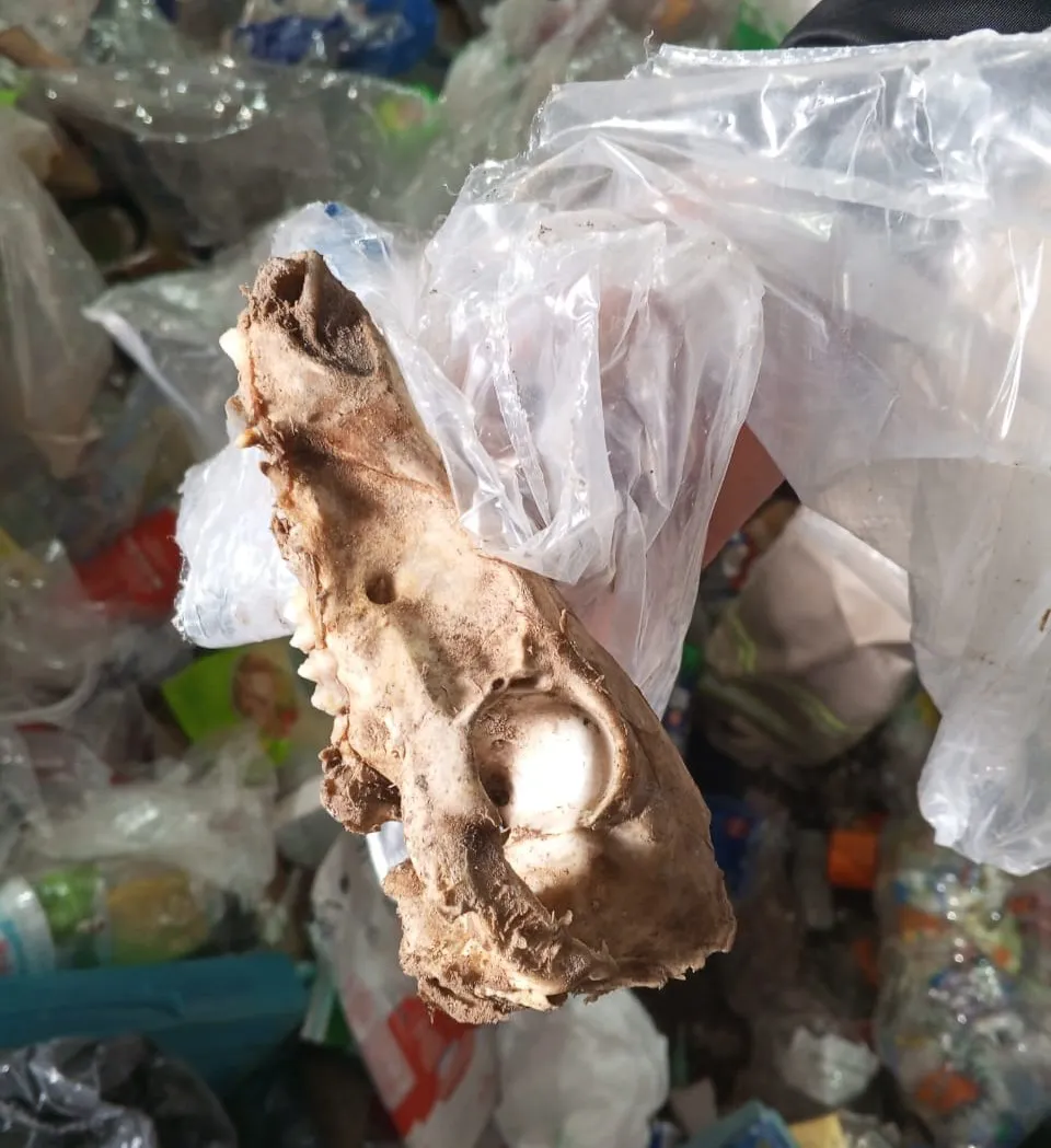 486866215_1096264509208316_7983979346962187650_n