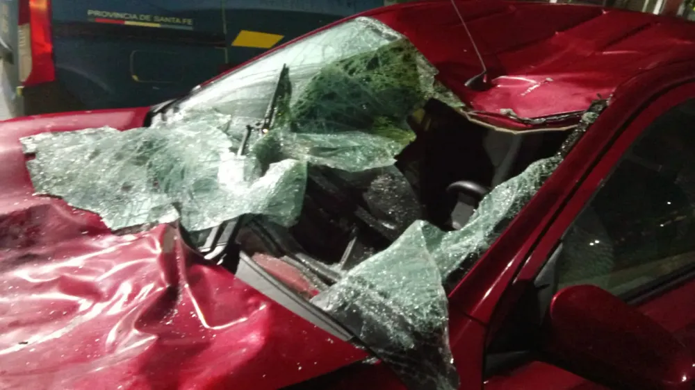 Imagen de WhatsApp 2024-11-05 a las 09.31.39_02d558e1