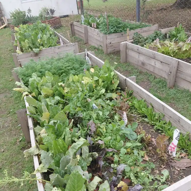 huerta_chovet