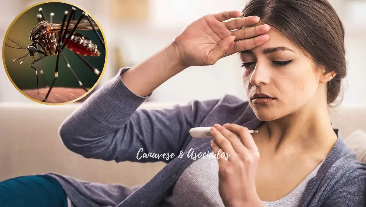 dengue-sintomas-enfermedad-mosquitosjpg