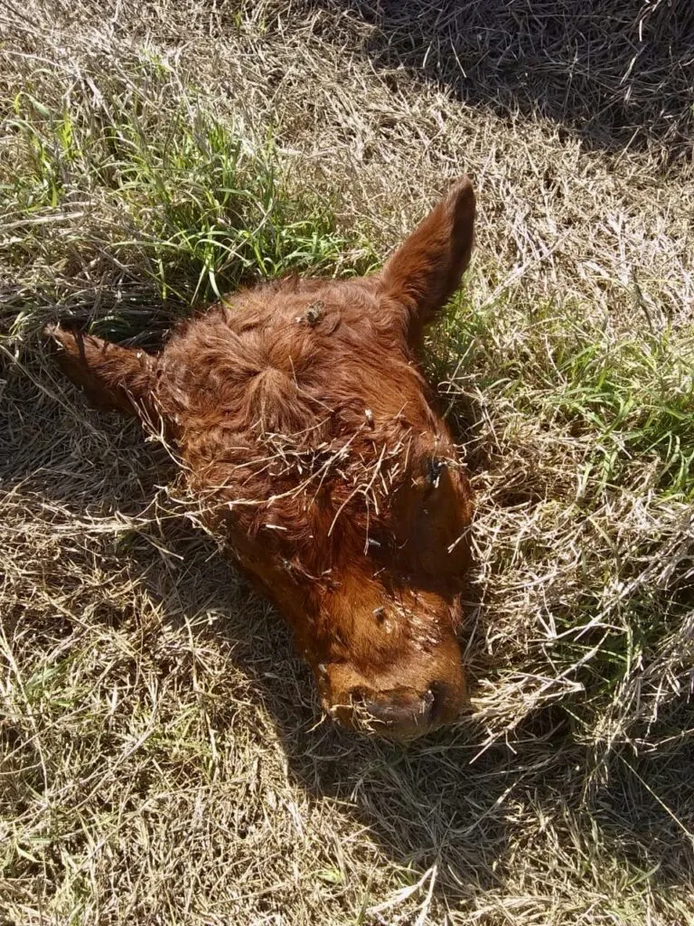 d688a698-8da4-4932-b35a-561a54c71c24-768x1024