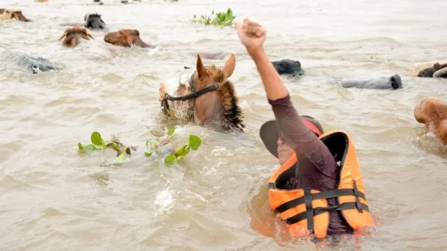 rio-parana-el-nino-crecida-1jpg