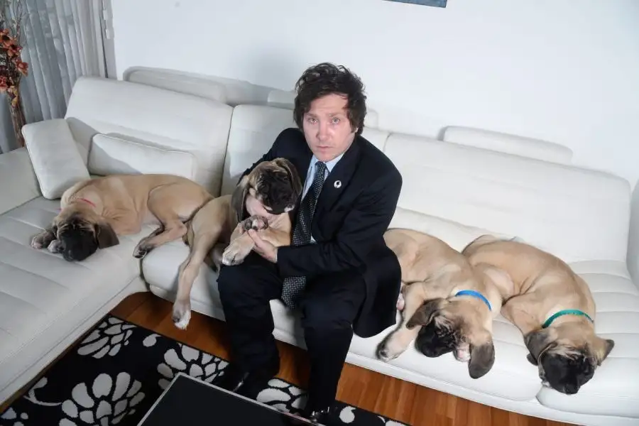 javier-milei-con-sus-perros-clones-de-conan-1693752