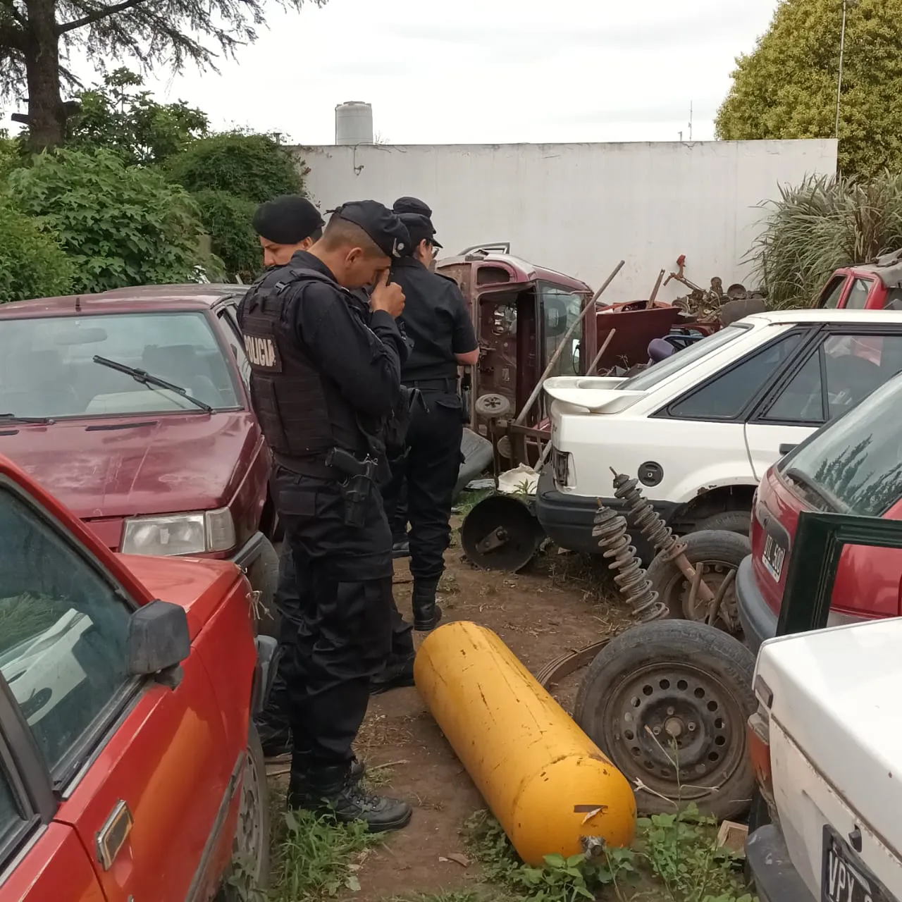 WhatsApp Image 2023-12-05 at 18.13.50