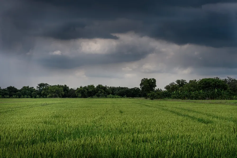 _C2_BFComo-almacenar-agua-de-lluvia-en-el-campo