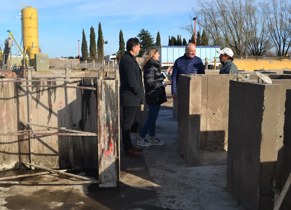 WhatsApp Image 2025-08-05 at 2.31.07 PM