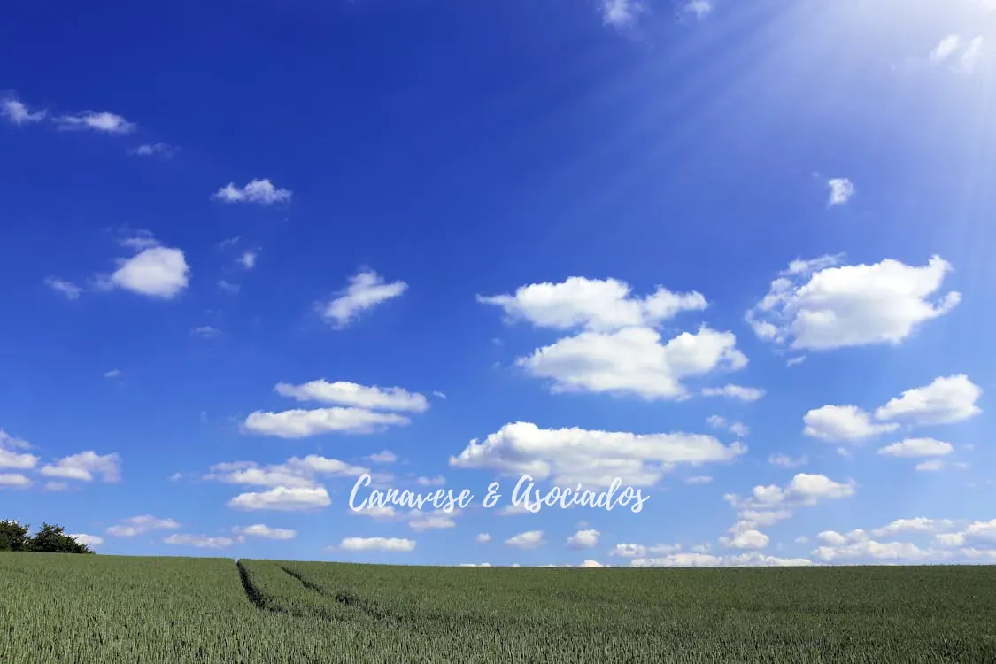 nature-sky-sunny-clouds