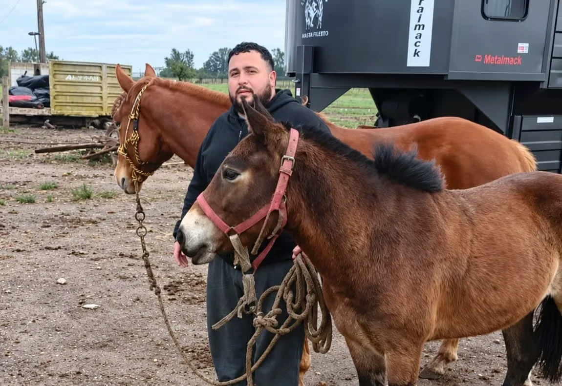 Jinete-entre-caballos-en-el-corral-2