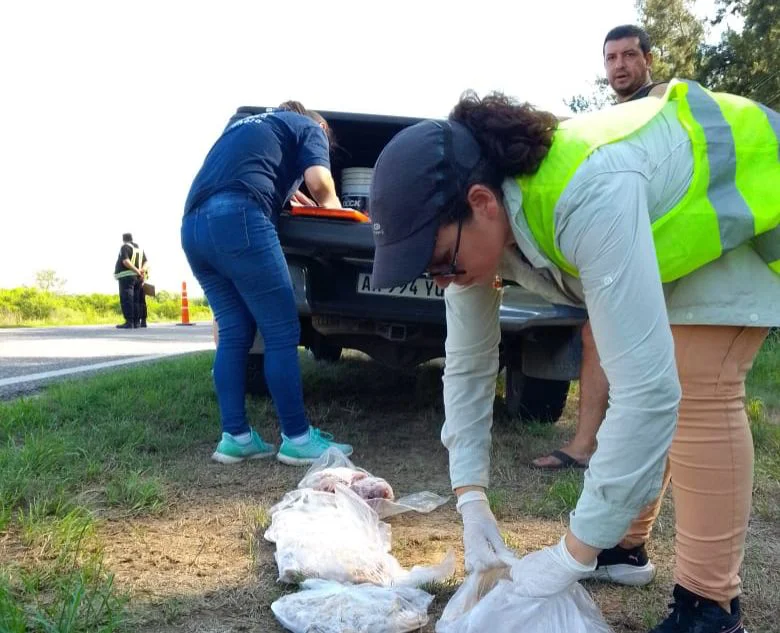 2026-04-01NID_285602O_4