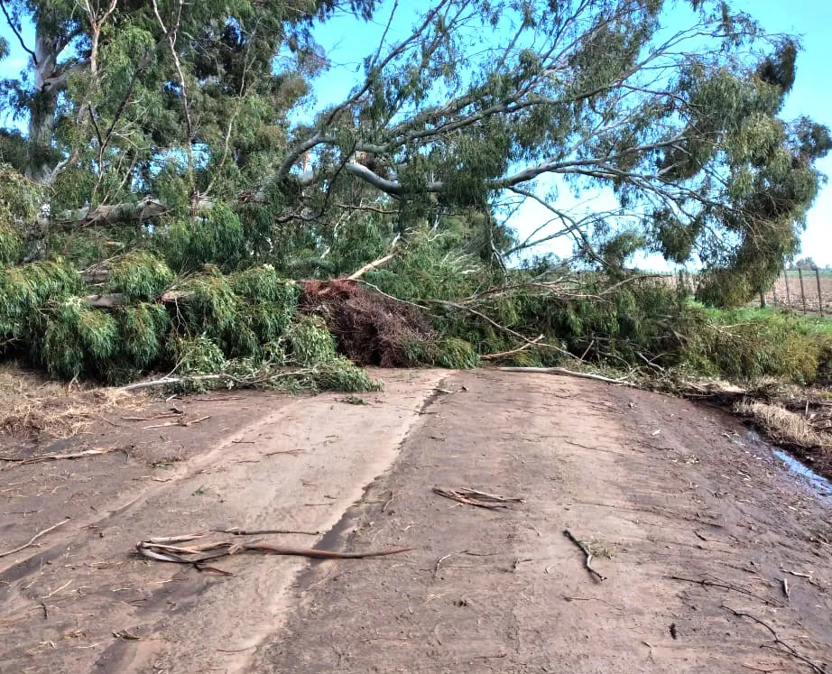 WhatsApp Image 2025-09-03 at 9.37.37 AM