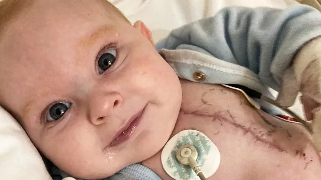 lorenzo-lolo-trasplantejpg