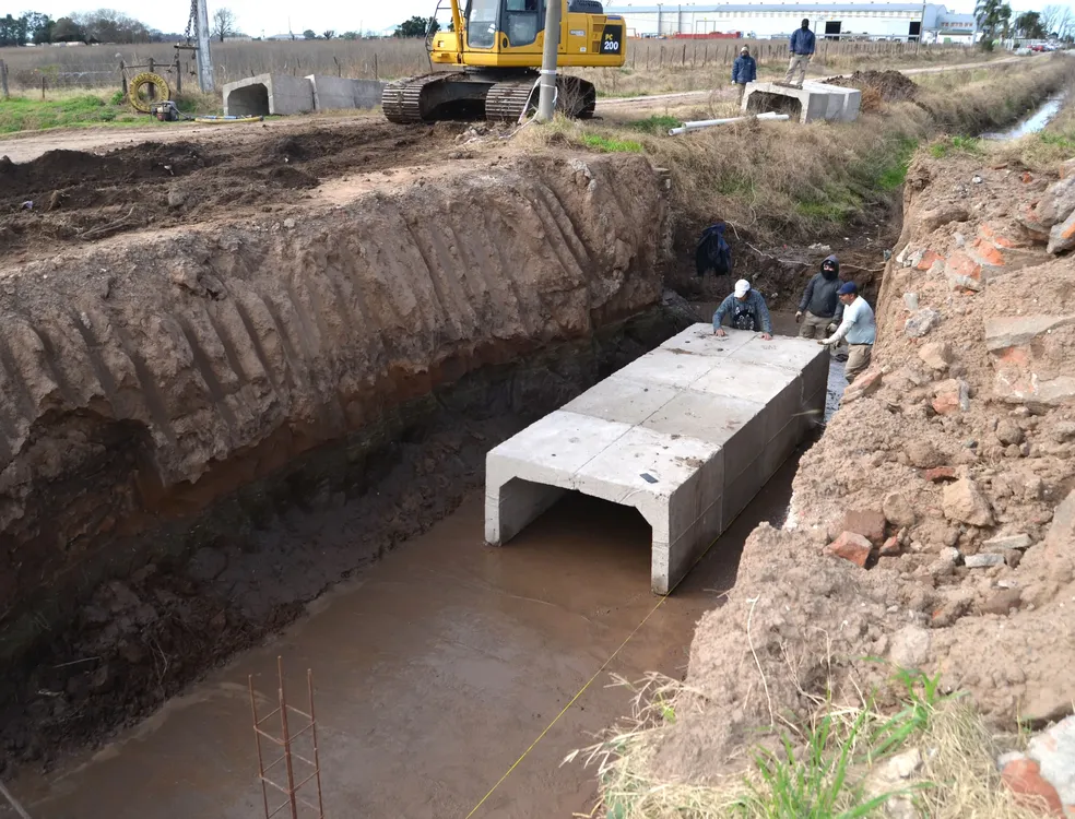 WhatsApp Image 2025-08-05 at 2.31.06 PM