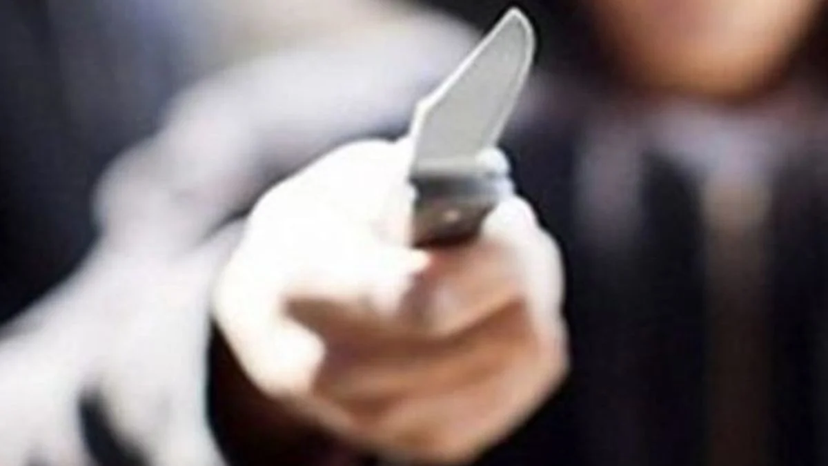 Dictaron prisión preventiva para dos jóvenes por un robo en Venado Tuerto