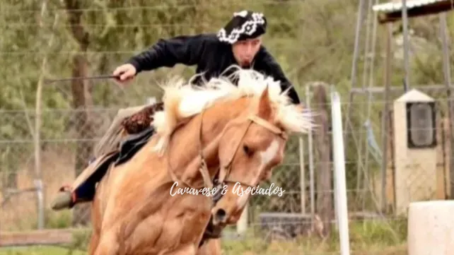 jinete-pablo-machadojpg