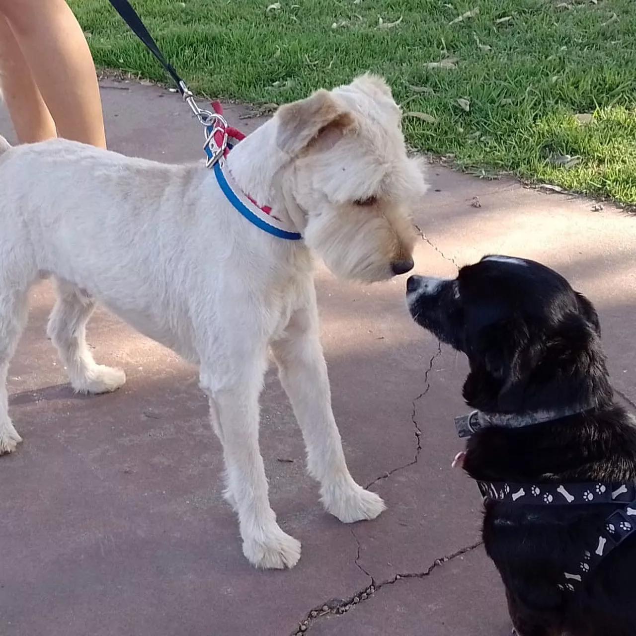 315941663_497575932413188_32924690228373377_n