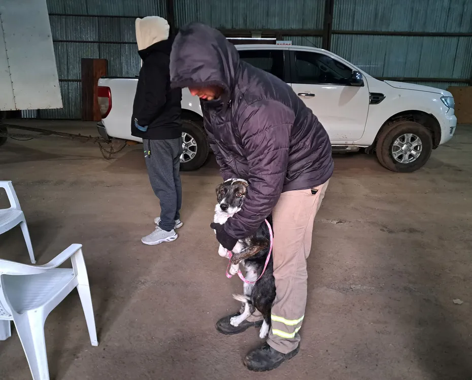 WhatsApp Image 2025-07-07 at 8.49.39 AM