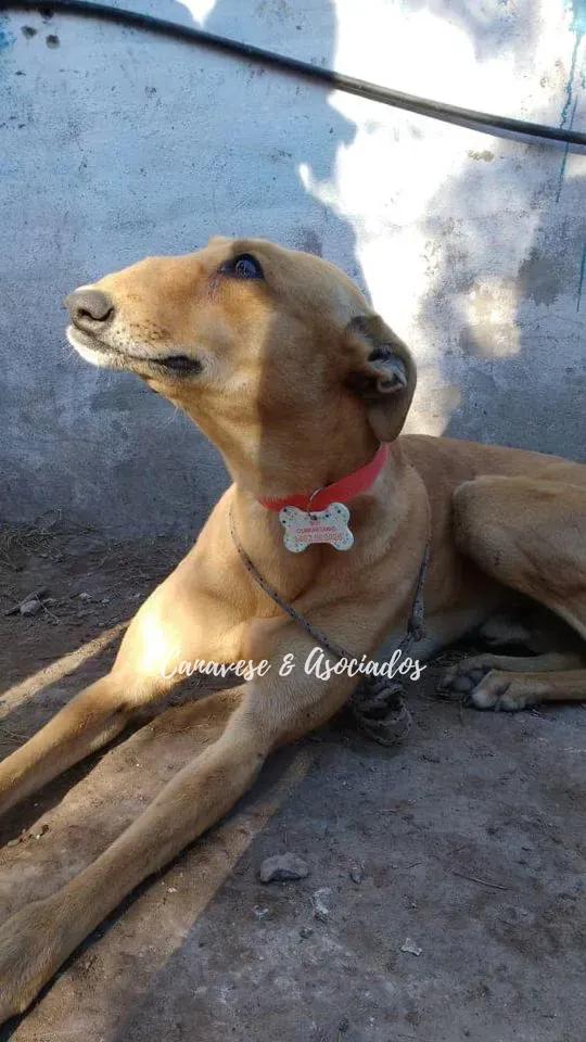 36063410_263004344474734_6743917107982893056_n