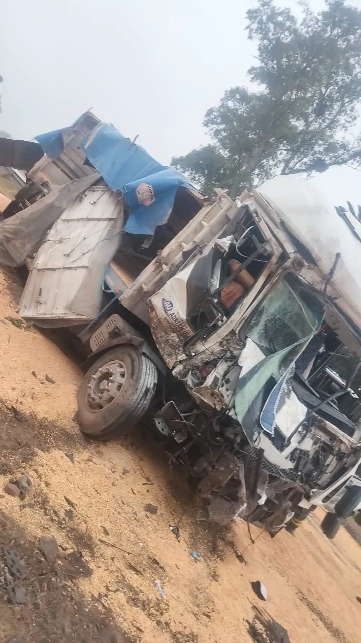 WhatsApp Image 2024-08-20 at 19.24.07