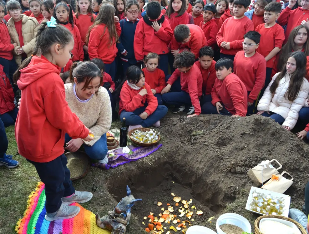 WhatsApp Image 2025-08-15 at 11.49.01 AM (1)