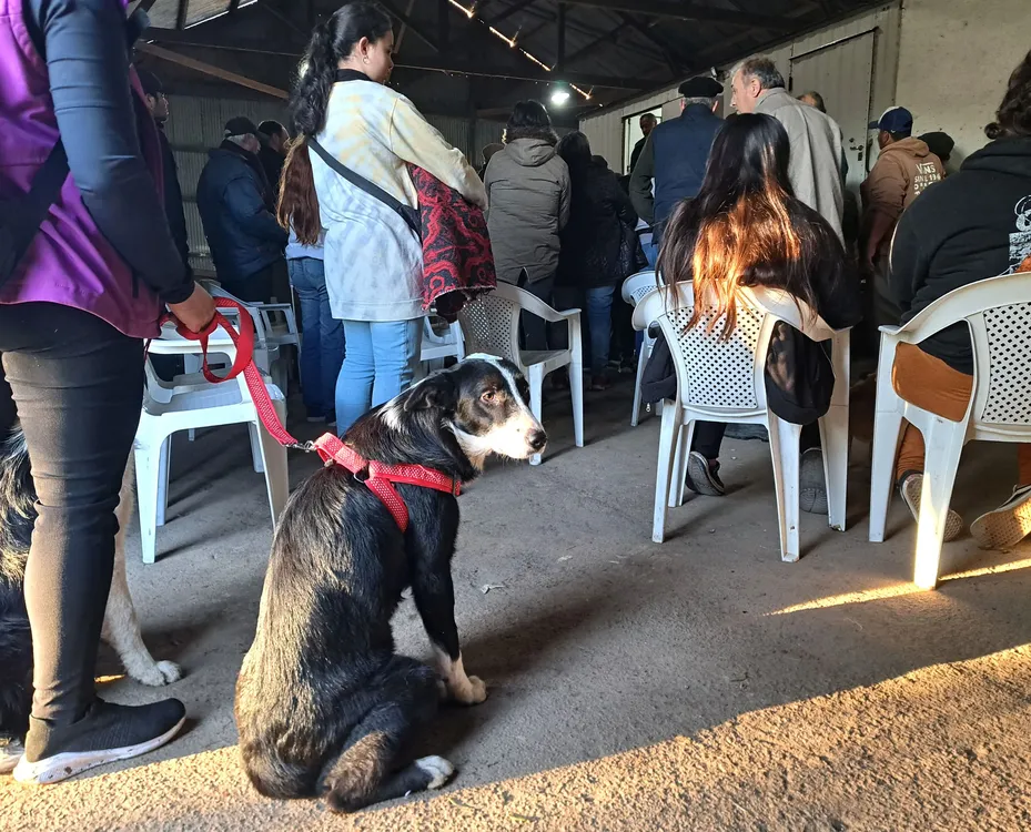 WhatsApp Image 2025-05-12 at 10.20.41 AM