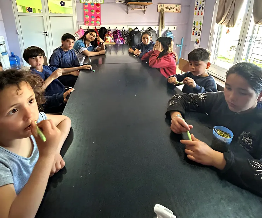 555434135_1250563410445091_4865621529410458398_n