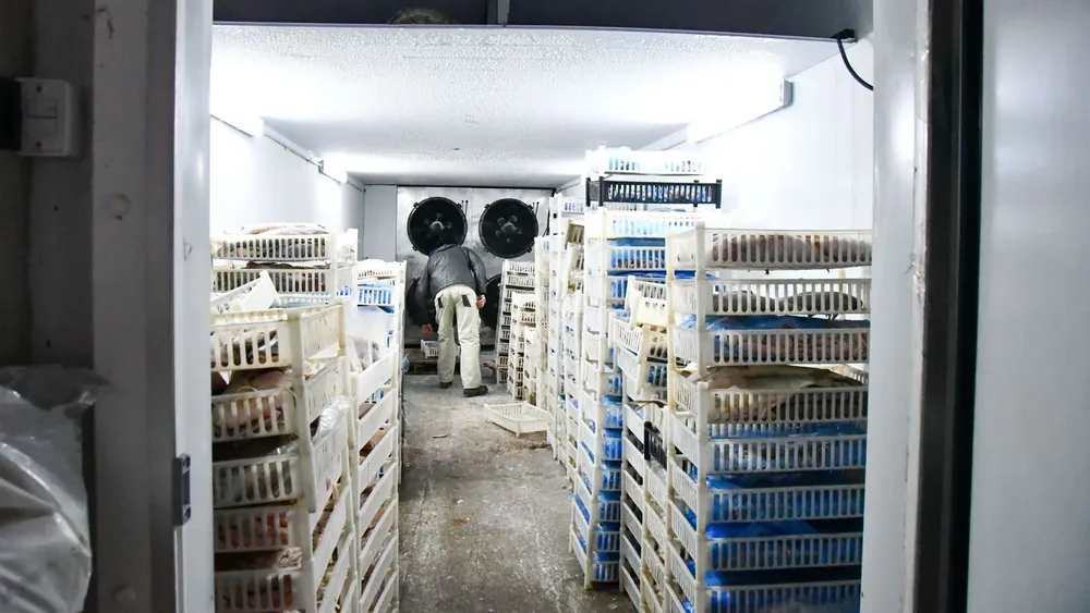 2026-04-01NID_285602O_2