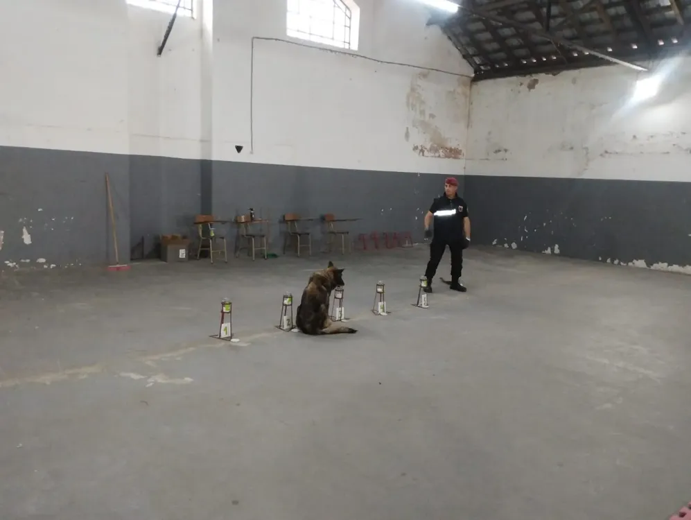 WhatsApp Image 2023-11-08 at 17.34.35 (2)