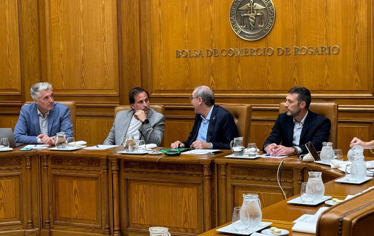 WhatsApp Image 2024-09-26 at 17.05.58