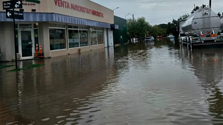 o_1710420726-768x432