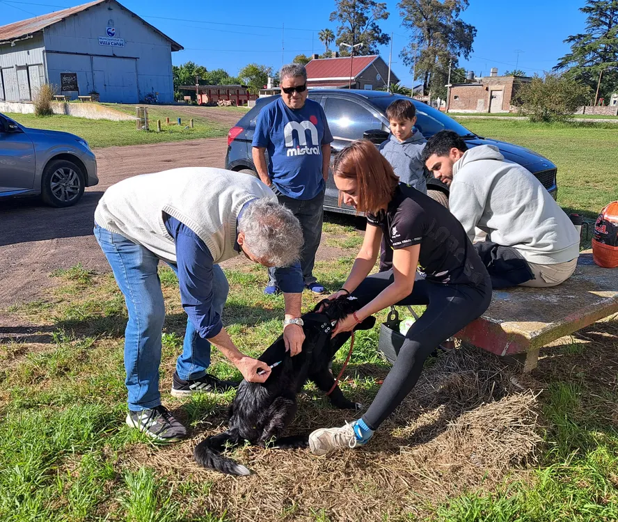 WhatsApp Image 2025-11-11 at 1.37.49 PM (2)