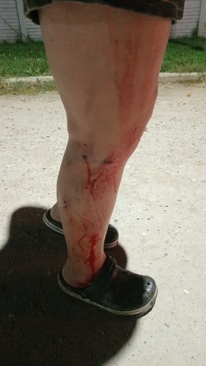 WhatsApp Image 2026-03-12 at 10.31.46 AM