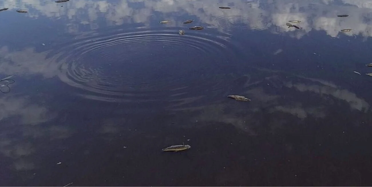 IqYomPKNP_1300x655__1