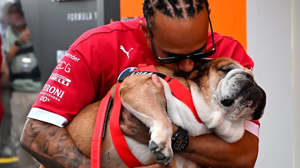 la-desgarradora-despedida-de-lewis-hamilton-a-su-perro-roscoe-tuve-que-tomar-la-decision-mas-dificil-de-mi-vida