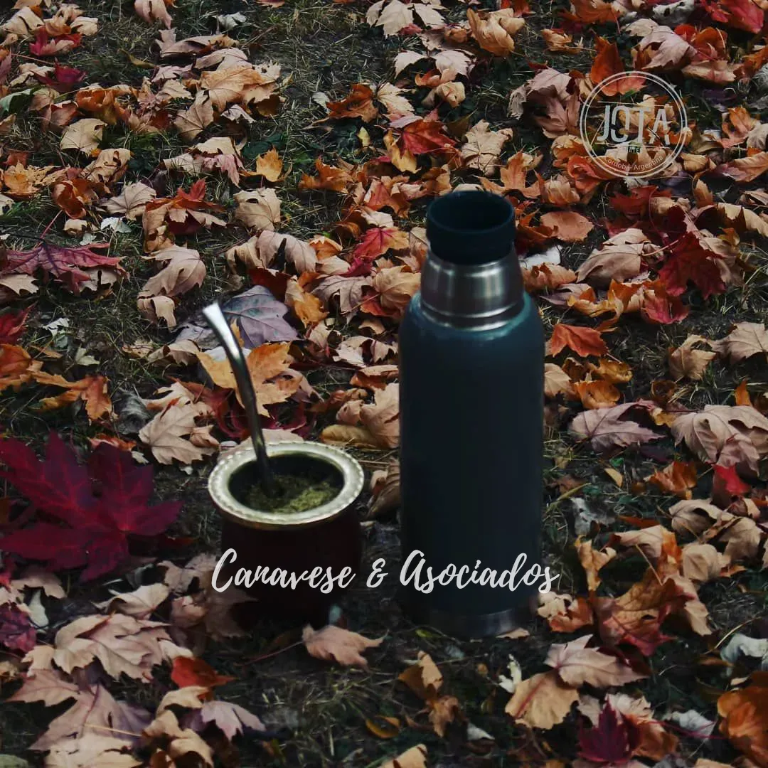 bf11c6c45664e64c88fa029033b6d61e