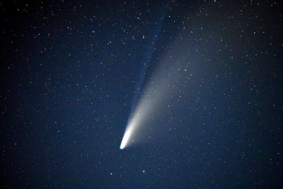 cometa neowise