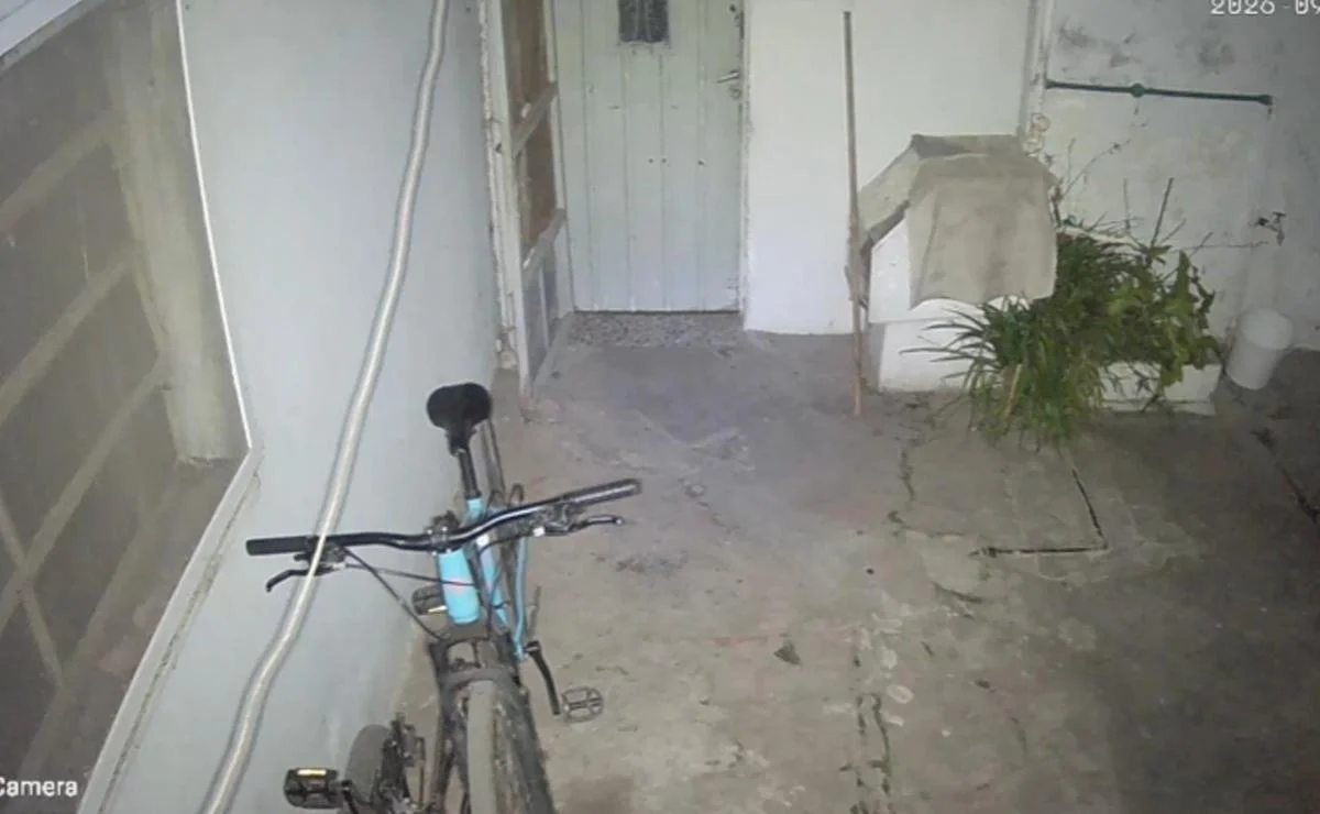 Nelson: instaló una cámara por ropa desaparecida y descubrió un gato